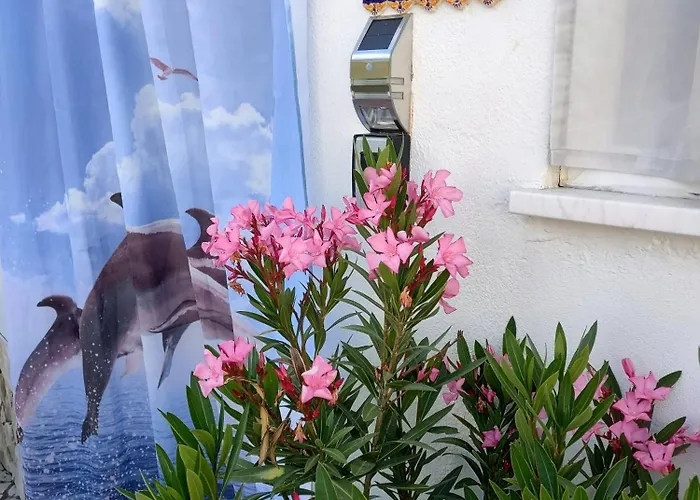 شاليه Casa Aiana *